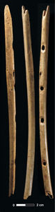 The Hohle Fels griffon vulture bone flute, ~40,000 years old